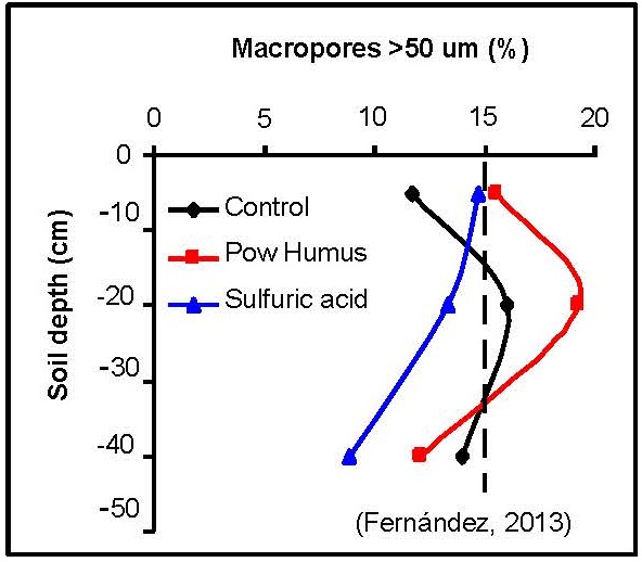 Increase of macropores in a compacted soil in avocado culture