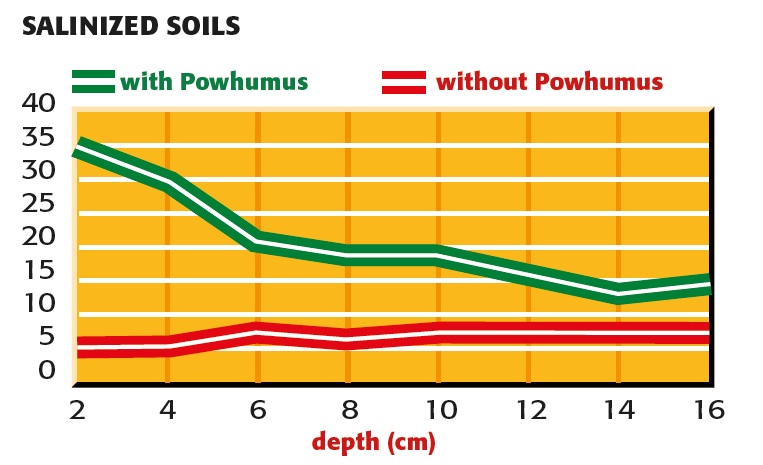 Splitting of salt with and without powhumus
