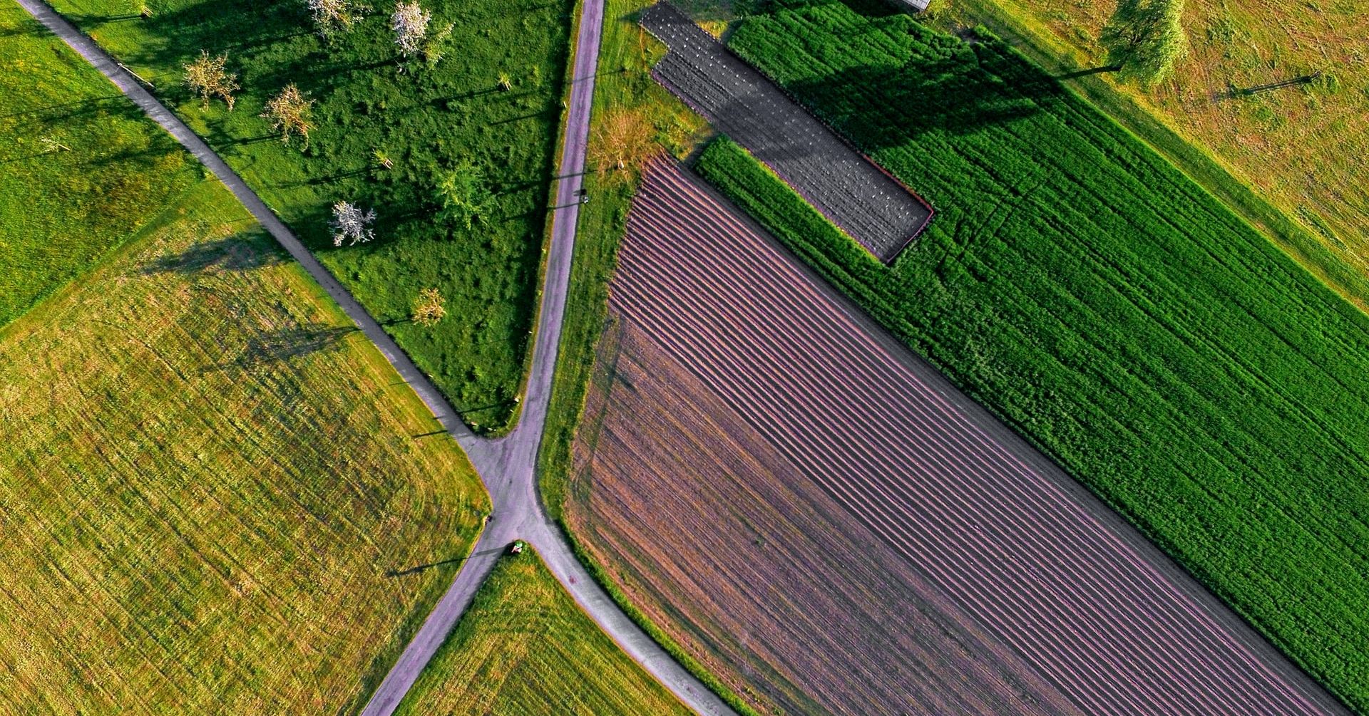 En Cuatro Pasos Hacia La Granja Org nica HUMINTECH