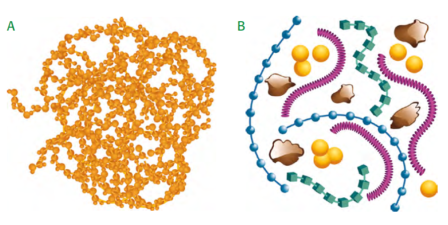 Long chained (A) and short chained (B) humic substances