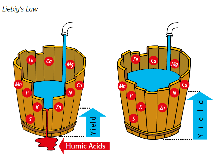 illustration of liebig's law Growth is controlled by the scarcest resource