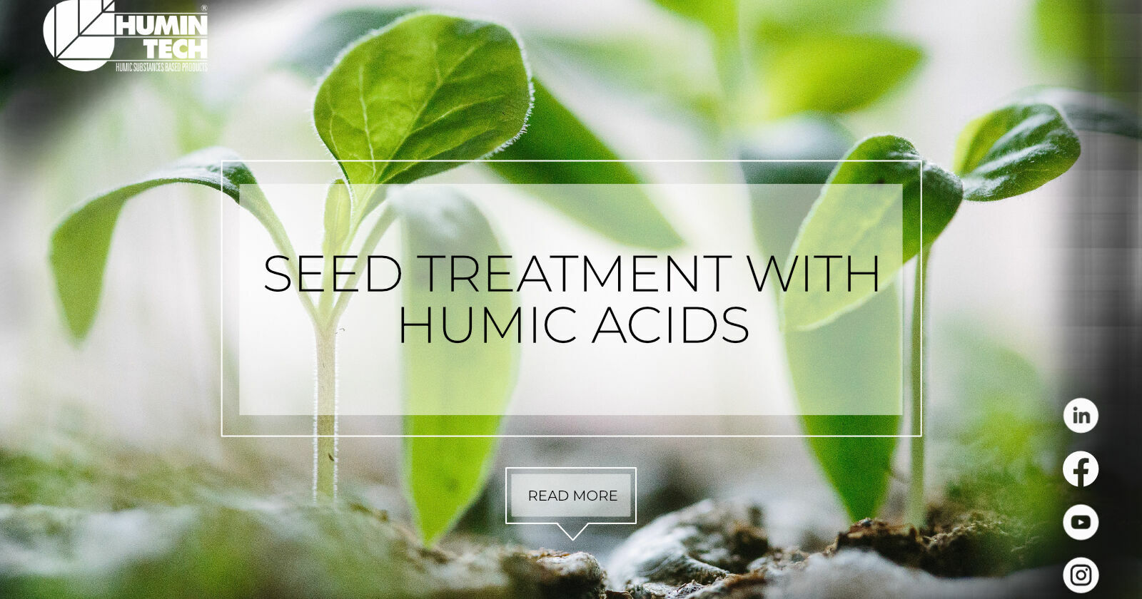 Seed Treatment With Humic Acids – HUMINTECH