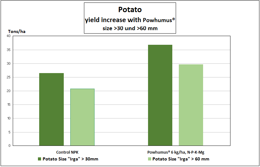 table of yield increase of potatoes after application of POWHUMUS