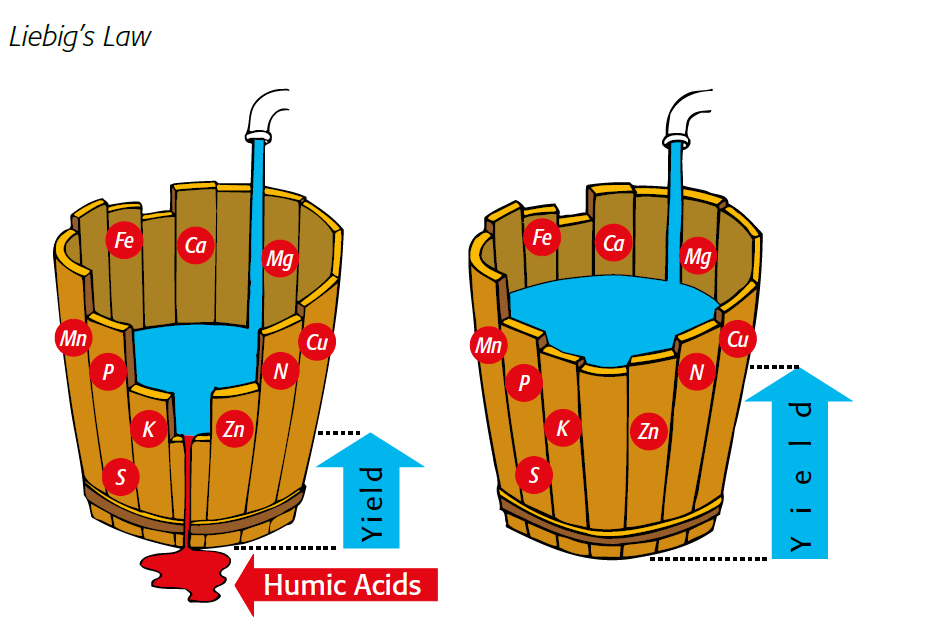 minh họa về luật của liebig Tăng trưởng được kiểm soát bởi nguồn lực hiếm nhất