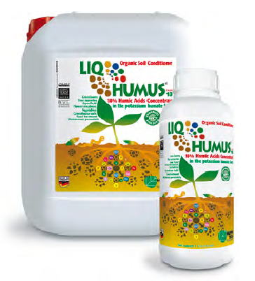 hộp và chai liqhumus