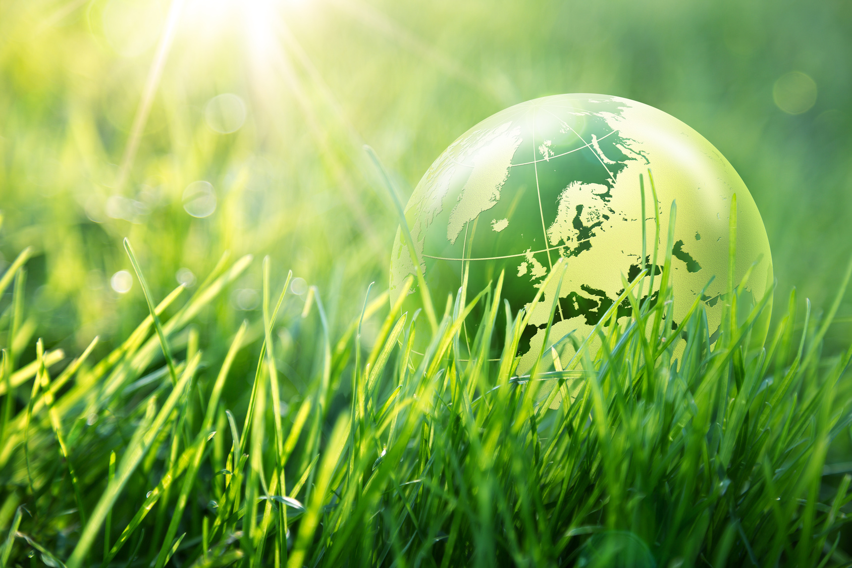 symbolic image of a green globe in a low standing sun