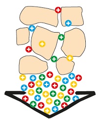 depiction of Sandy soils poor in humus that can`t retain nutrients