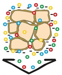 depiction of the Effect of the cation Exchange capacity to sandy soils