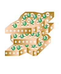 depiction of a Compact, hardly penetrable soil structure