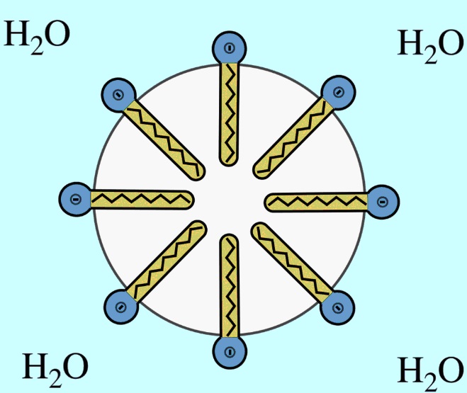 illustration of positive effect of humic acids for soil decontamination